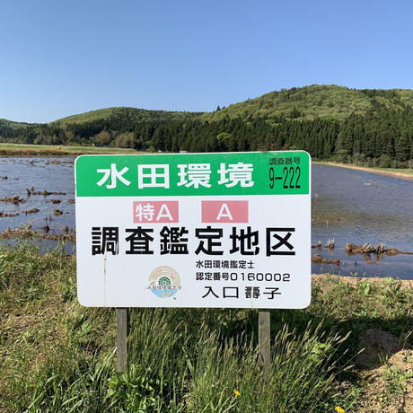 5ac2c771122a7d69a1003004