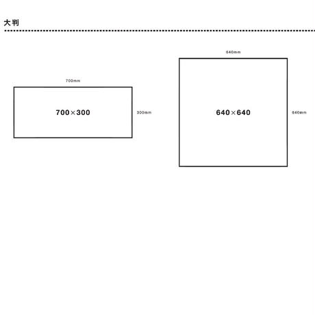 5c5d6a443b6365297fc91a44