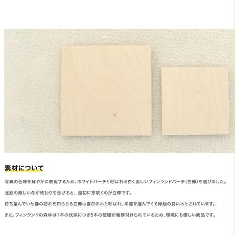 5c5d6a443b6365297fc91a44