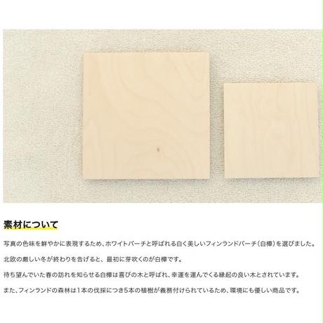 5c5d6cc33b63651152c91813