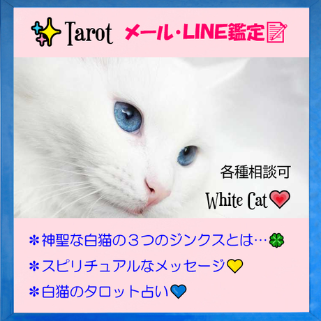 メール占い Stores