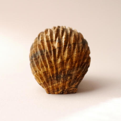 5beea19c5496ff207e000205
