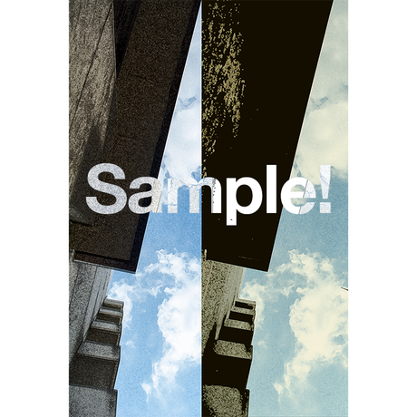 5c4541bac49cf33a6ee1119d