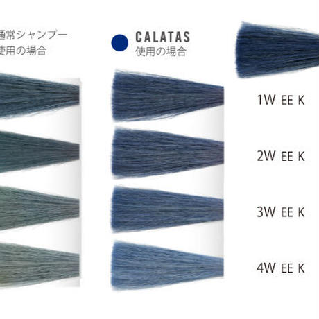 5c23252b787d845f81031c18