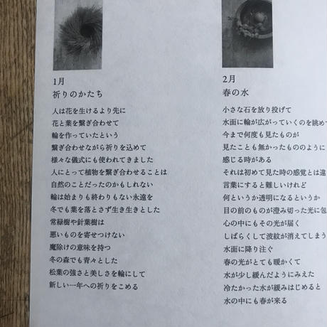 5db94884bc45ac4d96378358