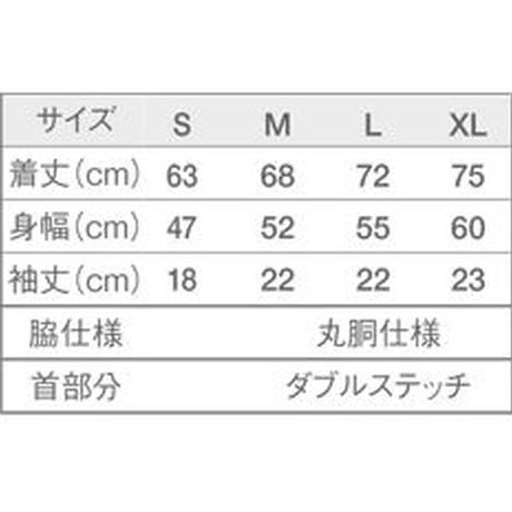 529c3e87236a1e75ad00001c