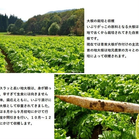 5d82939cb02f29364965a870