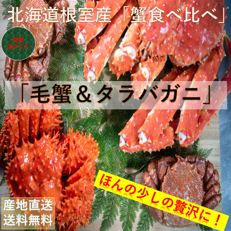 北海道根室産 Stores