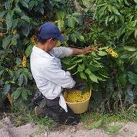 5f4c56217df281496514e6a3