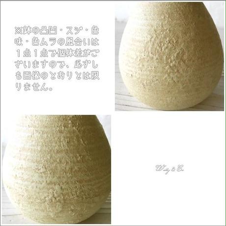 5c6bc257aee1bb4912b14394