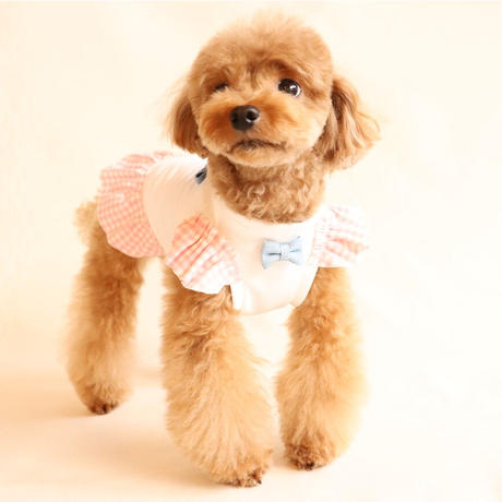 犬ワンピース Stores