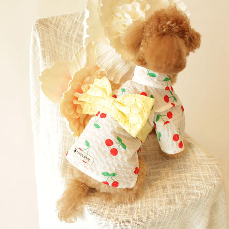5cb3d935d211bf59efdd6577