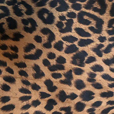 5bcaf0a85496ff5b4d0002f2
