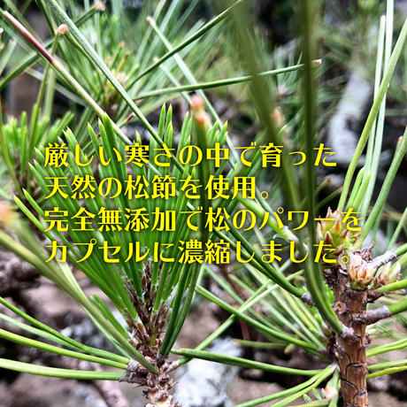 5ebe2d5672b9110349f0b307
