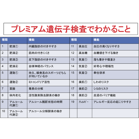 気質診断 Stores