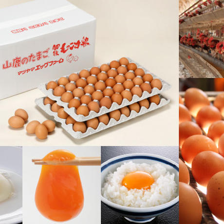 5c8ce40b89c42d7dc95513e1