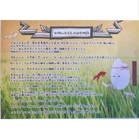 5c8709ef785b8e327464bee7