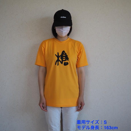 5ed2137255fa037bd9c06974