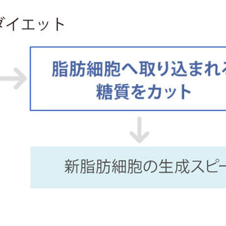 5c89ee2a96b05077f3f98702