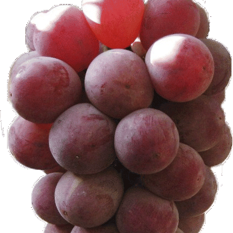 5df87dbf7f16475bf558200b
