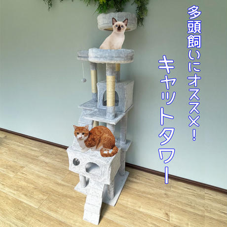 猫ハウス | STORES