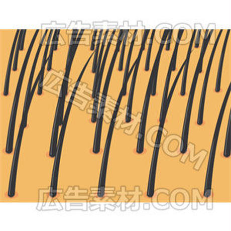 5c6150d368702423af4a1bca