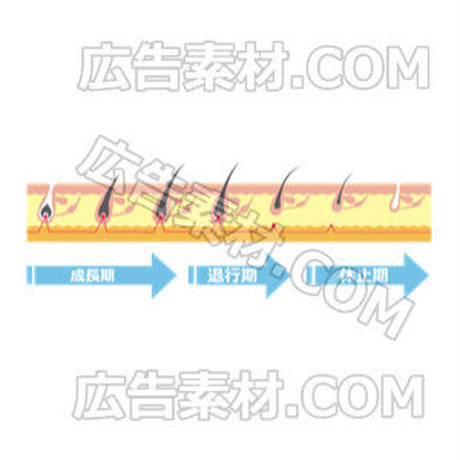 5c614f4dc2fc2811bfbfc532