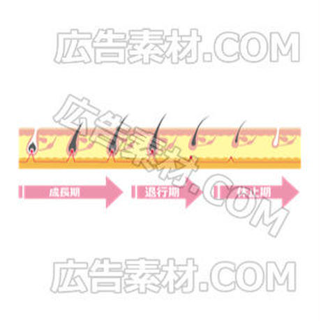 5c614f20e73a2566e818de97