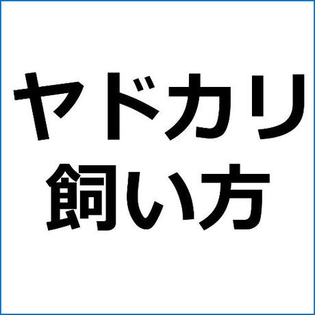 5de381a5f65aec542c93b3d8