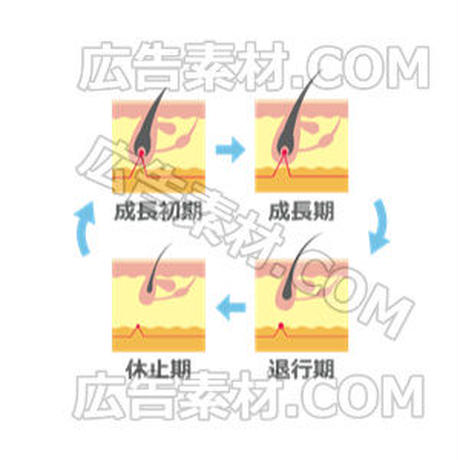 5c615168c2fc284896bfc44e
