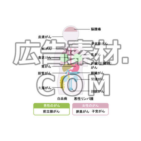 5ac1a420434c723b50000482