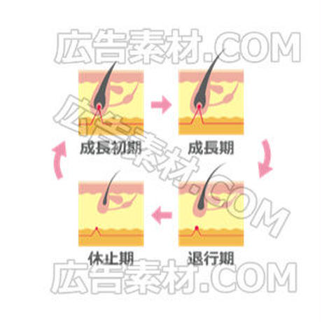 5c615141e73a2566e818df7f