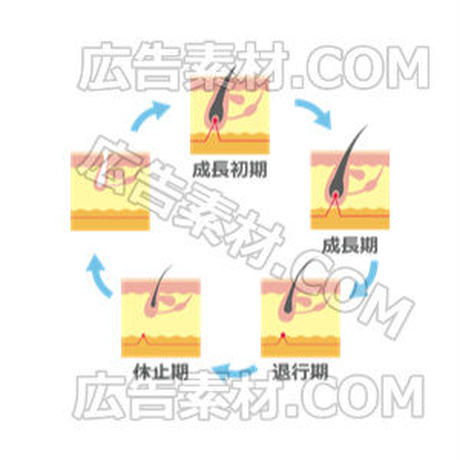 5c614e136870244a7b4a106b
