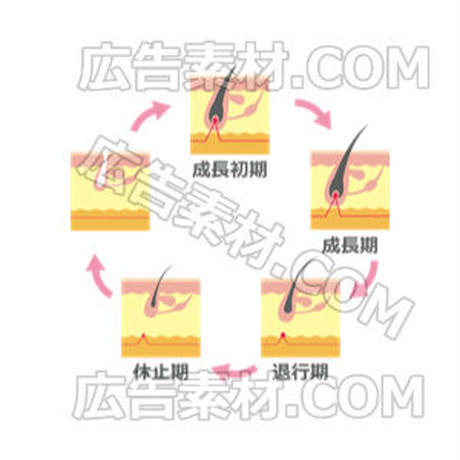 5c614de8c2fc284896bfc2ca