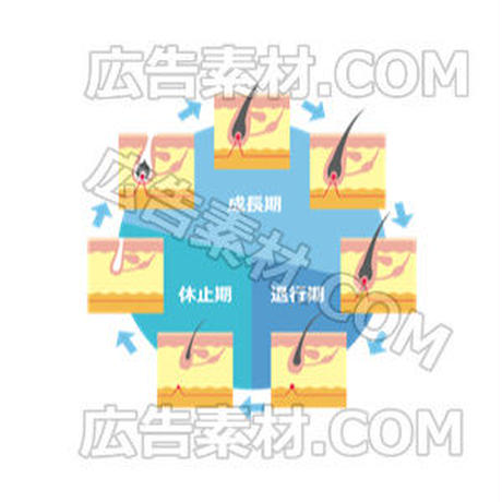 5c614e94aee1bb5ca6bfff73