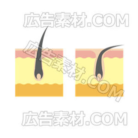 5c614fd2787d846df82f523d