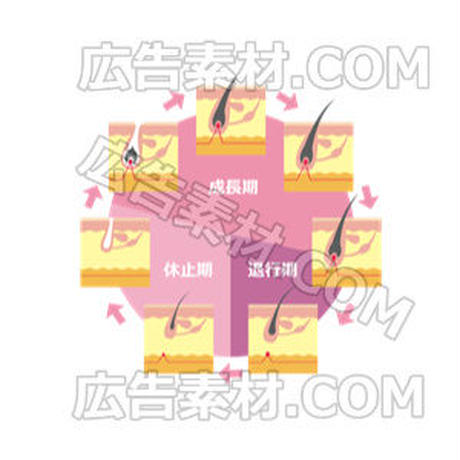 5c614e69e73a25251818f033
