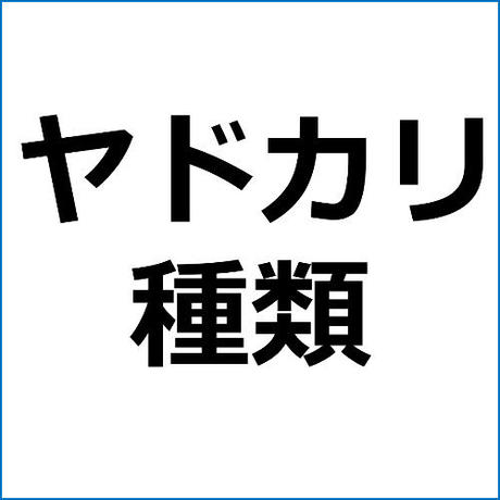 5de384ed3ce1194cd3a319b6