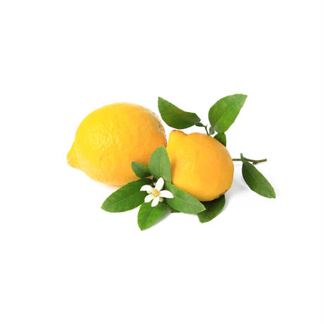 5987f021c8f22c3cf7000f3e