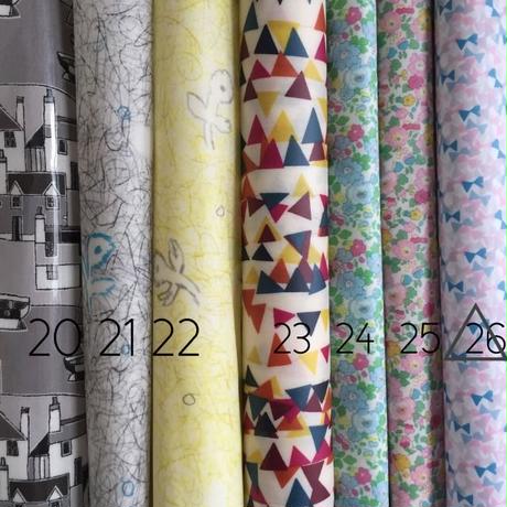 58ef540fd3b2a05db70088c1
