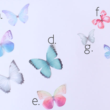 5e8c2347e20b04190af9061c