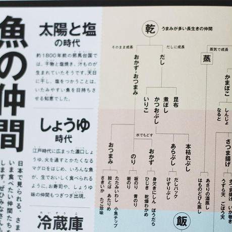 5a937b3927d1cc0ec4007a6b