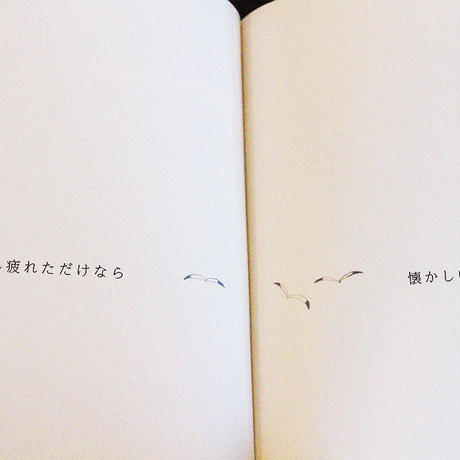 58a269a541f8e842a801b5b5