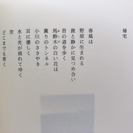 5e89906c9df1632f5efe08b6