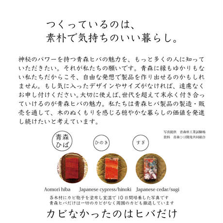 5d04843dc3a9676b781c4693