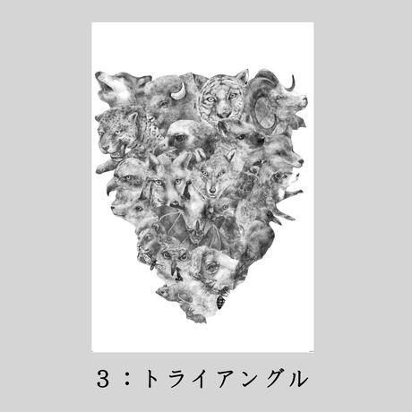 567a7931ef33776805000774
