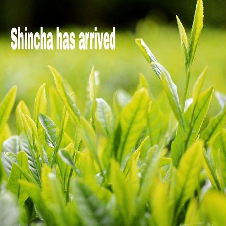 533a63fd83f1532dac000015