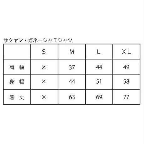 5bcf35bdef843f5cde0000b0