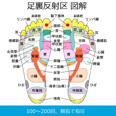 5d934b27965803755d3ecf41