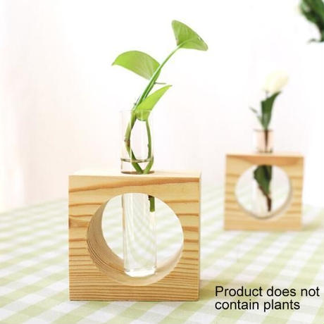 水耕植物 Stores 水耕植物 Stores